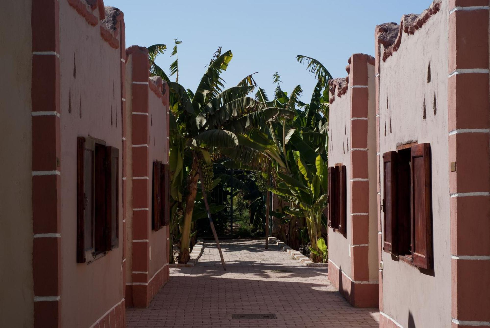 Al Baeirat Hotel Luxor Exterior foto